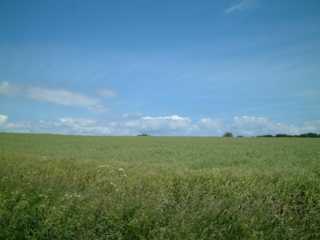 DSCF0095.jpg